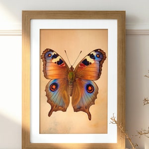 Vintage Butterfly Print | Elegant Butterfly Print | Insect Art Print | Cottage Wall Decor | Wall Art Printable | Digital Download