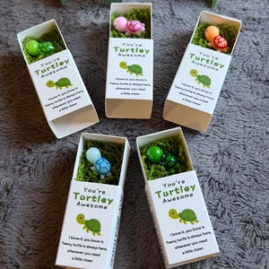 May include: Five white boxes with the text "You're Turtley Awesome" and a turtle graphic. Each box contains a small turtle figurine on a bed of green moss. The turtles are various colors, including pink, green, and blue.