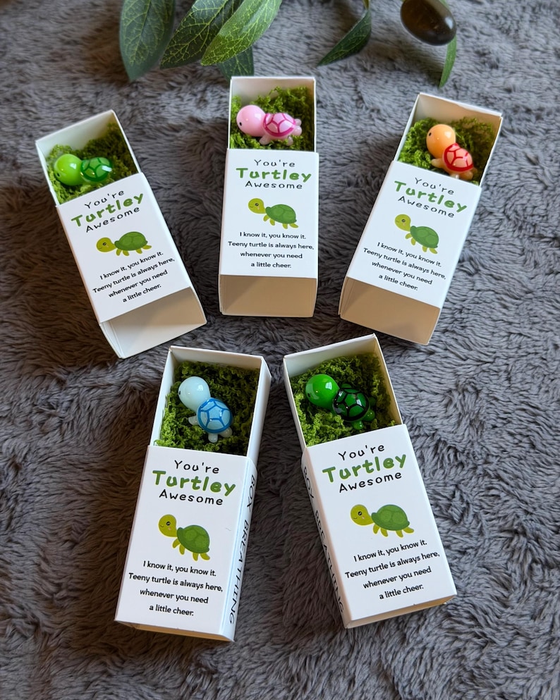 May include: Five white boxes with the text "You're Turtley Awesome" and a turtle graphic. Each box contains a small turtle figurine on a bed of green moss. The turtles are various colors, including pink, green, and blue.
