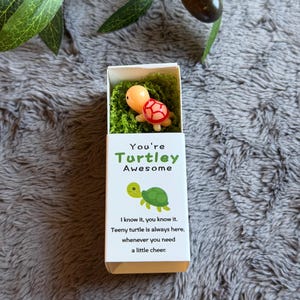 May include: A small, white box with the text "You're Turtley Awesome" and a cartoon turtle illustration. Inside, a tiny orange and red turtle figurine rests on green moss. The box includes the message: "Teeny turtle is always here, whenever you need a little cheer."