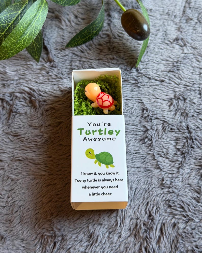 You’re Turtley Awesome Pocket Hug Charm, Gift Idea for Family Friends ...
