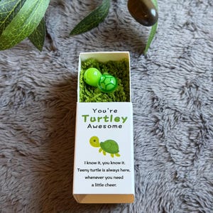 May include: A white box with the text "You're Turtley Awesome" and a cartoon turtle illustration. Inside, two green turtle-shaped glass marbles rest on green moss. The box also includes the text: "I know it, you know it. Teeny turtle is always here, whenever you need a little cheer."