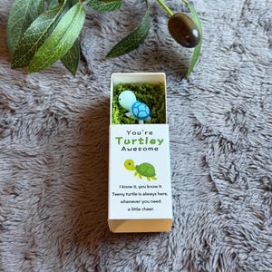 May include: A small, rectangular box with the text "You're Turtley Awesome" and a cartoon turtle illustration. Inside, a miniature blue and white turtle figurine rests on green moss. The box is on a gray, textured surface.