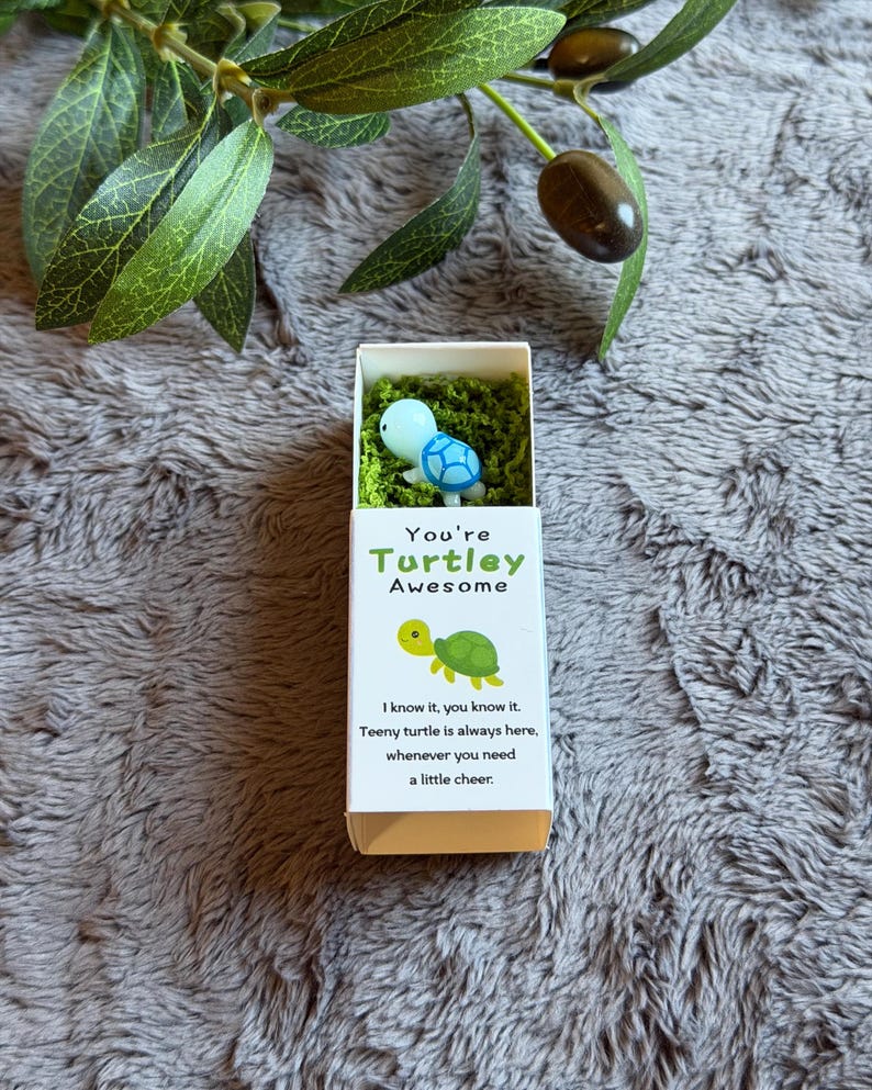 You’re Turtley Awesome Pocket Hug Charm, Gift Idea for Family Friends ...