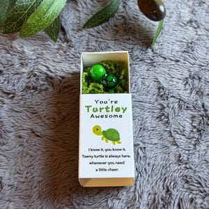 May include: A small white box with the text "You're Turtley Awesome" and a cartoon turtle illustration. Inside, there are two green turtle figurines nestled in green moss. The box also includes the text "I know it, you know it. Teeny turtle is always here, whenever you need a little cheer."