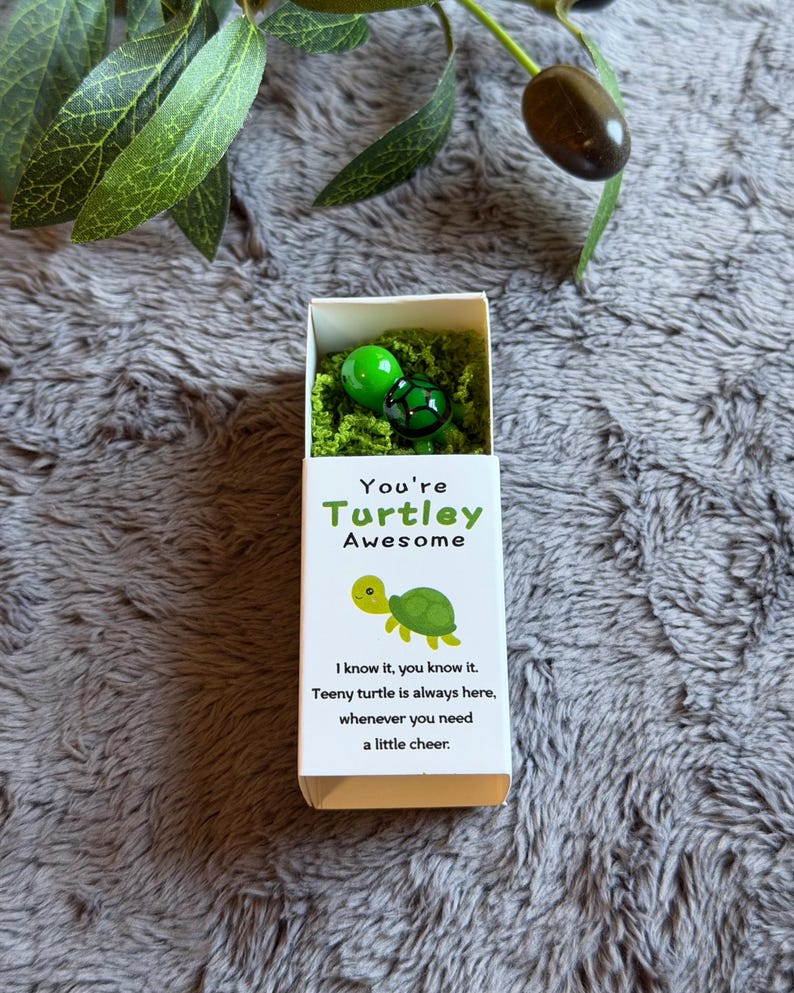 You’re Turtley Awesome Pocket Hug Charm, Gift Idea for Family Friends ...