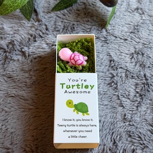 May include: A pink and white turtle figurine rests on green moss inside a small white box. The box has the text "You're Turtley Awesome" and a cartoon turtle illustration. The box also includes the text "I know it, you know it. Teeny turtle is always here, whenever you need a little cheer."