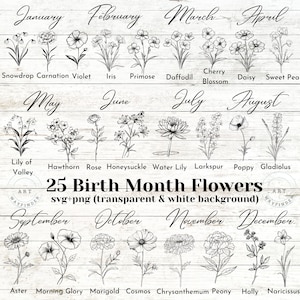 SVG di fiori del mese di nascita / 24 fiori del mese di nascita / Combina fiore di nascita / Dodici mesi di fiori / SVG floreale / File SVG per Cricut