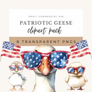 Silly Goose 4th of July Clipart: Patriotic Geese PNG (Digital Download)