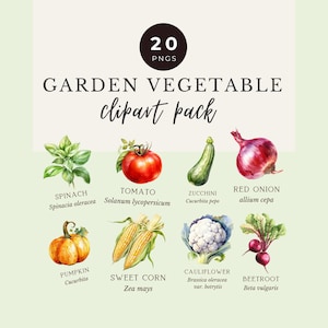 Watercolor Vegetable Png Clipart, 20 Garden Vegetable Pngs with Scientific Names, Homegrown Food, Locally Grown, Farmers Market, Gardening