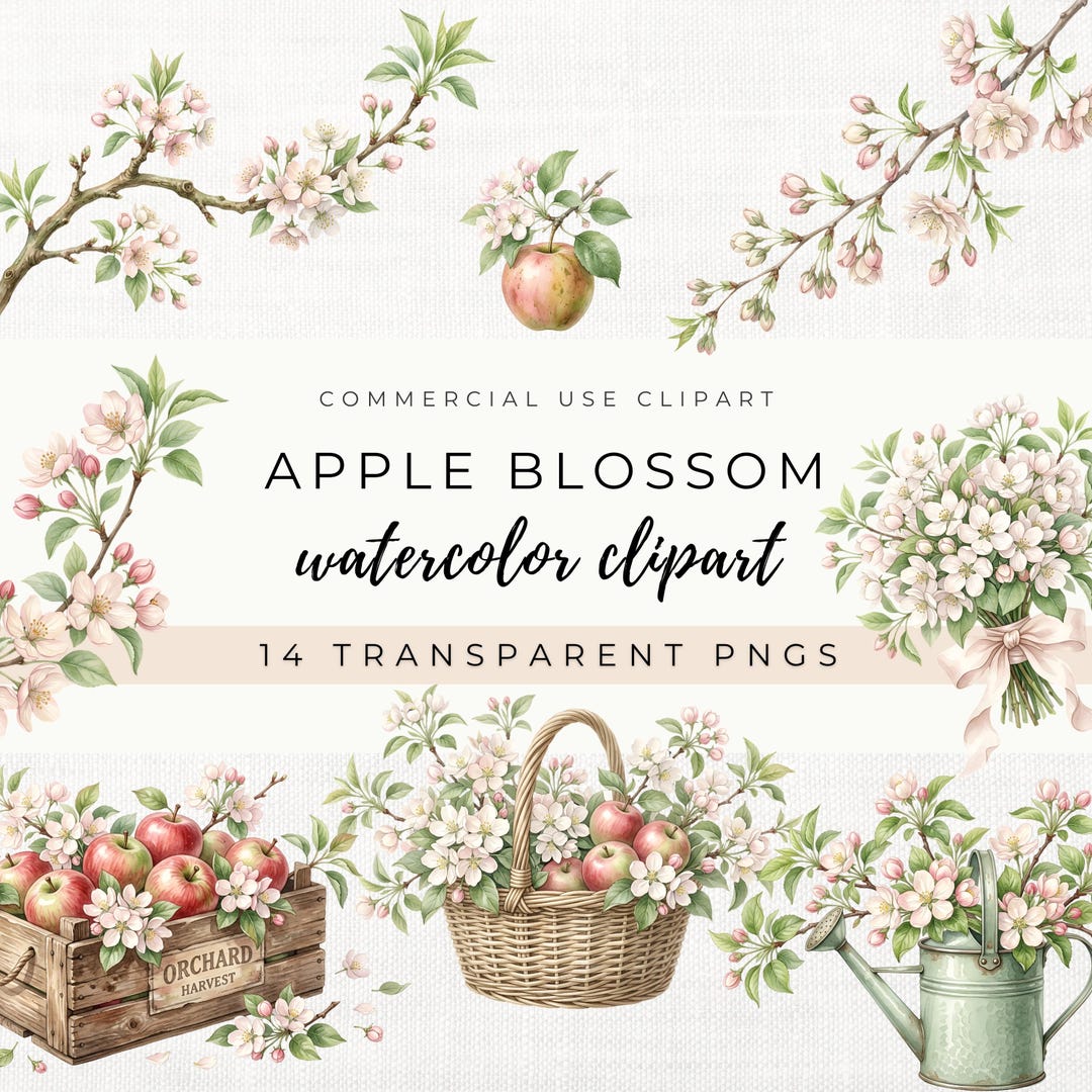 Apple Blossom Clipart, Watercolor Spring Floral PNG Graphics (digital ...