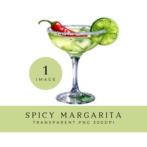 Puede incluir: Ilustración en acuarela de un cóctel margarita picante en una copa con pie. La bebida está adornada con un chile rojo y una rodaja de lima. El vaso tiene un borde de sal. La imagen incluye el texto "SPICY MARGARITA" y "TRANSPARENT PNG 300DPI".