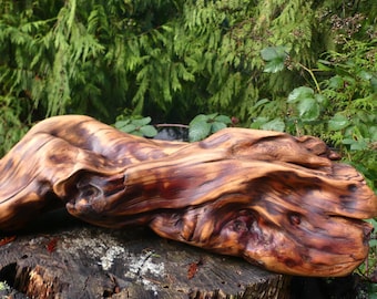 Tree Root Sculpture Wood Sculpture Unique Root Decoration