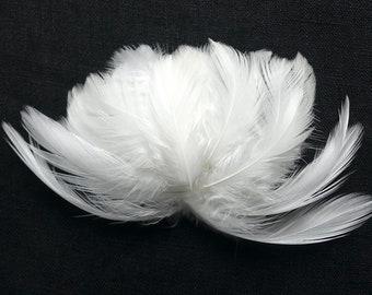 30 Soft White Feathers Naturally Shed | 1.5-2.5" | Cruelty Free | Natural White | No Bleaching