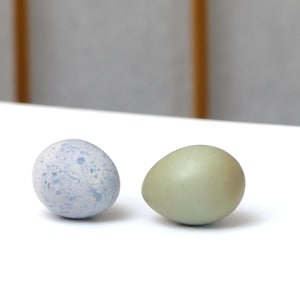 May include: Two eggs on a white surface. One egg is light blue with darker blue speckles. The other egg is a solid pale green color. The eggs are smooth and oval-shaped, with a slight sheen.