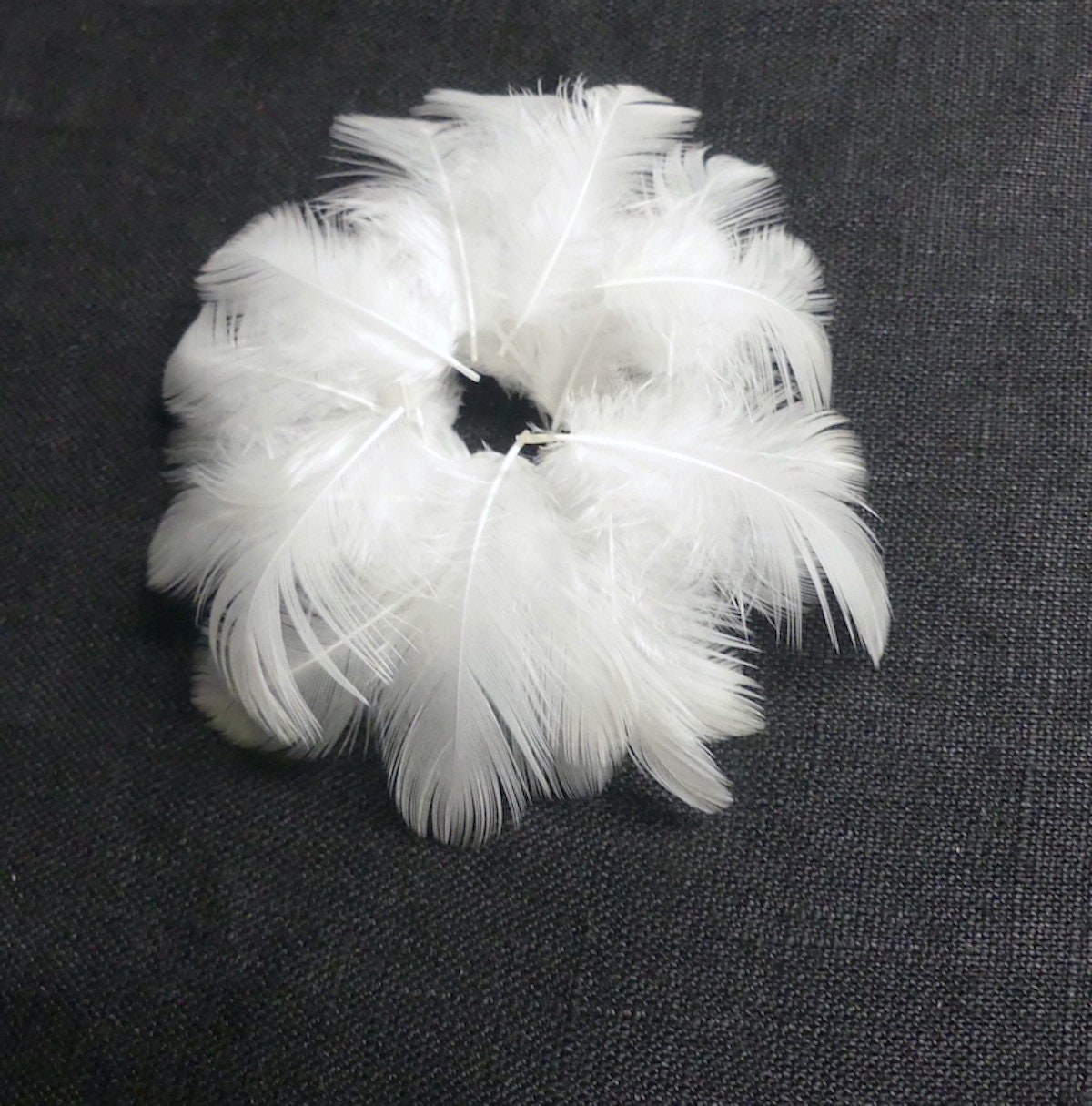 White Feathers 