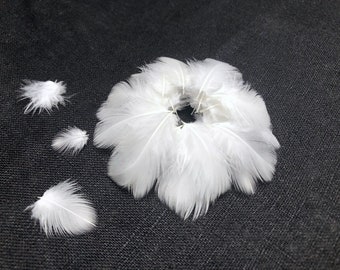 30 Tiny Little White Feathers Naturally Shed |  .5" - 1" | Cruelty Free | Natural White, No Bleaching