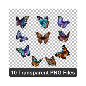 Schmetterling Clipart Niedliche Tiere PNG Kinderzimmer Wand Kunst Tiere Clip Art Decor Sofortiger Download Schmetterlinge Clipart Kunstwerk Geschenk Dekor tshirt