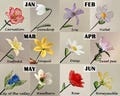 Glass Birth Flower (Jan to Dec), Glass Carnation, Iris, Daffodil,Daisy, Lily, Larkspur,Aster,Poppy, Handmade Birthday Gift, Christmas Gift