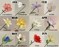 Glass Birth Flower (Jan to Dec), Glass Carnation, Iris, Daffodil,Daisy, Lily, Larkspur,Aster,Poppy, Handmade Birthday Gift, Christmas Gift