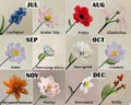 Glass Birth Flower-Custom Color, Glass Flowers with Stem, Glass Chrysanthemum, Penny, Holly, Larkspur, Aster,Poppy, Handmade Christmas Gift product logo