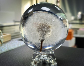 Dandelion resin paperweight, Dandelion Sphere, Dandelion desk home office decor, Dandelion in resin,Dandelion crystal ball,Transparent