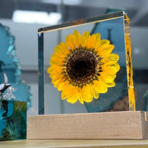 Real Sunflower Block, Resin Paperweight, Sunflower Night Light, Sunflower Ornament, Natural Gift, Birthday Gift,Gift for Her, Home Decor image 9