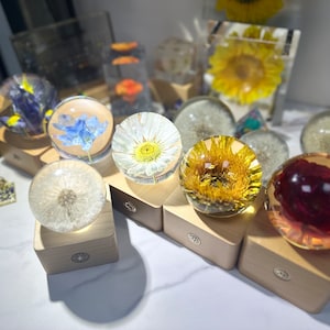 Birth Flowers Resin Lamps, Daisy Flower Ball Resin Lamp Gift of Nature, Dandelion Epoxy Resin Night Lamp, ,Flower in Resin,Real Flower Lamp