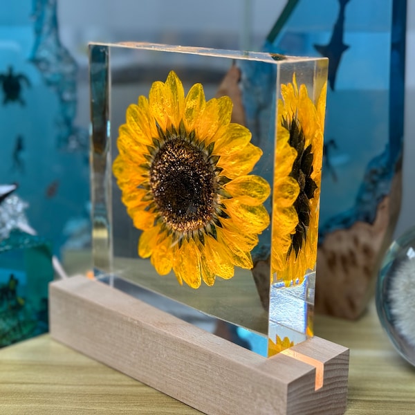 Real Sunflower Block, Resin Paperweight, Sunflower Night Light, Sunflower Ornament, Natural Gift, Birthday Gift,Gift for Her, Home Decor