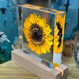 Real Sunflower Block, Resin Paperweight, Sunflower Night Light, Sunflower Ornament, Natural Gift, Birthday Gift,Gift for Her, Home Decor image 5