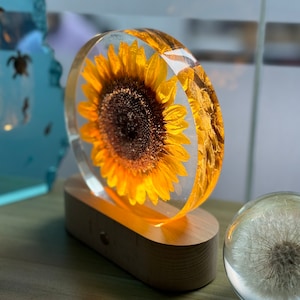 Real Sunflower Block, Resin Paperweight, Sunflower Night Light, Sunflower Ornament, Natural Gift, Birthday Gift,Gift for Her, Home Decor Round sunflower