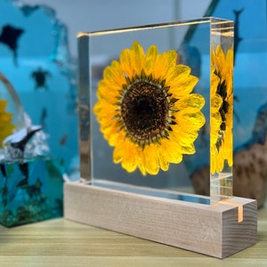 Real Sunflower Block, Resin Paperweight, Sunflower Night Light, Sunflower Ornament, Natural Gift, Birthday Gift,Gift for Her, Home Decor image 10