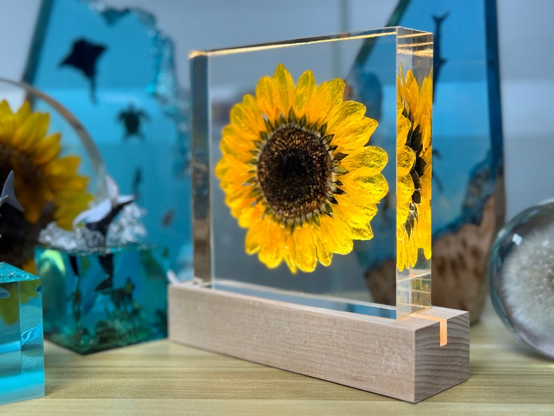 Real Sunflower Block, Resin Paperweight, Sunflower Night Light, Sunflower Ornament, Natural Gift, Birthday Gift,Gift for Her, Home Decor image 10