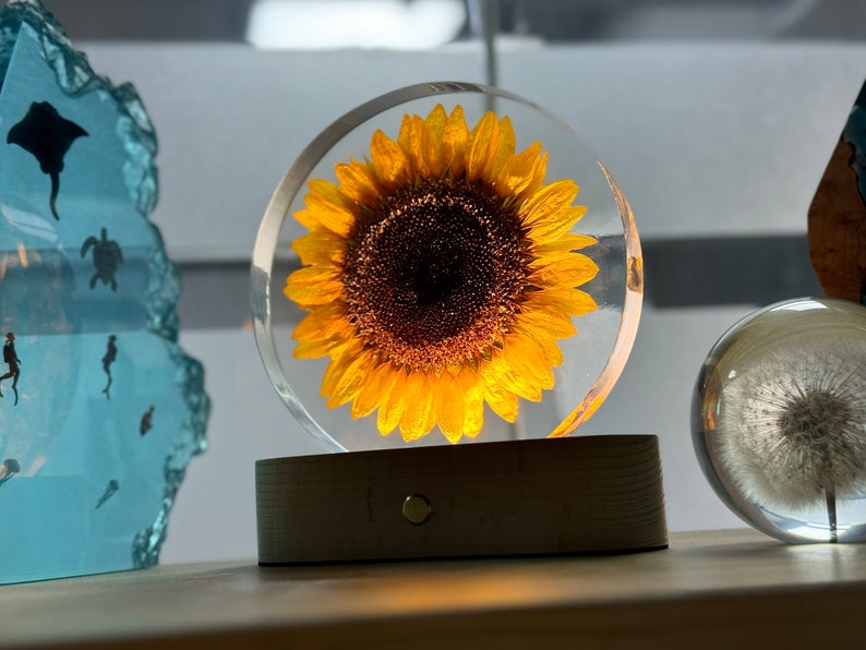 Real Sunflower Block, Resin Paperweight, Sunflower Night Light, Sunflower Ornament, Natural Gift, Birthday Gift,Gift for Her, Home Decor image 3