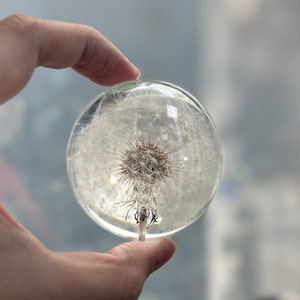 Desktop Paperweight Dandelion Specimen Ball Paperweight Ornament Gift