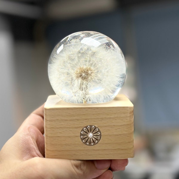 Dandelion crystal ball,Floral resin night light, touch controlled night light,Dandelion Desk Decor,Resin Paperweight,small table,pusteblume