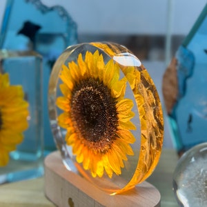 Real Sunflower Block, Resin Paperweight, Sunflower Night Light, Sunflower Ornament, Natural Gift, Birthday Gift,Gift for Her, Home Decor image 4