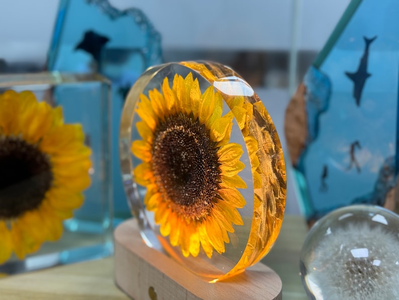 Real Sunflower Block, Resin Paperweight, Sunflower Night Light, Sunflower Ornament, Natural Gift, Birthday Gift,Gift for Her, Home Decor image 4