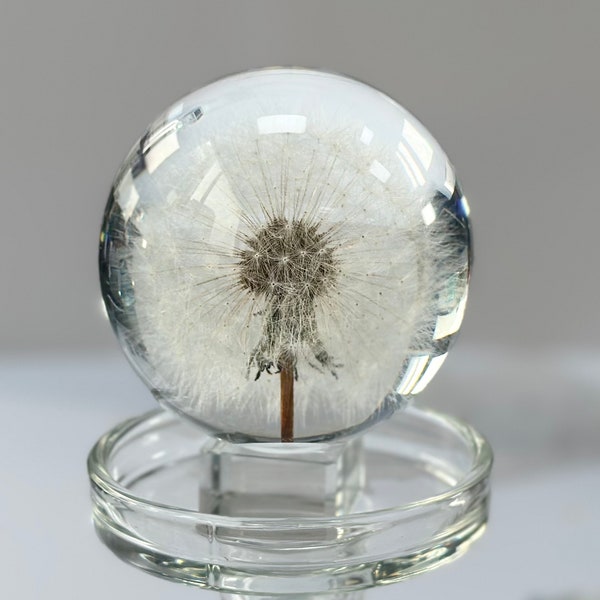 Dandelion in glass,seasonal decor,Dandelion resin paperweight,dandelion gift,Dandelion crystal ball,Transparent,diorama,home decor,mother