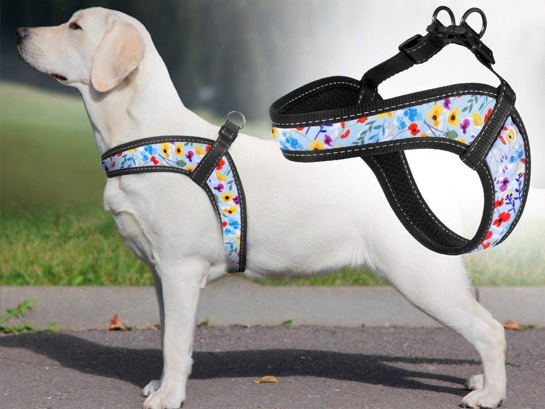 Girl Dog Harness With Flowers Pattern, Small Medium Large Dog Harness