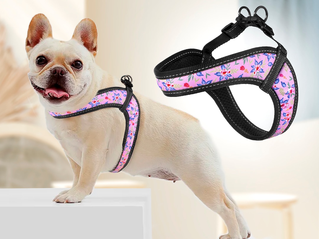 Pink Dog Harness With Floral Print, Custom Pet Harness for Small