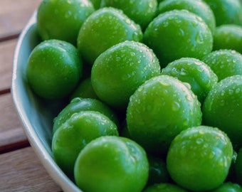 Verse groene pruim, groene pruim, natuurlijke groene pruim, vers fruit, lentefruit, biologische groene pruim, zure groene pruimen, cadeau, vers fruit, nieuw seizoen