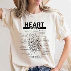 Comfort Colors Anatomy Heart Shirt,Cardiology Student Shirt,Medical Professional,Gift For Cardiac Nurse,Cardiologist Hoodie, Anatomical Tees