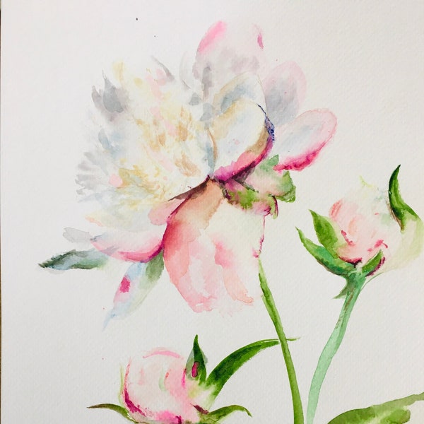 Growing together. Peonies watercolor. Aquarelle de pivoines. Peinture aquarelle. wall art. Flower painting.