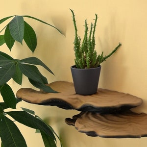 Wall Shelf Ostrea Fungus - Small Wall Shelf - Plant Shelf - Floating Shelf - Office Wall Shelf - Home Shelf Decor