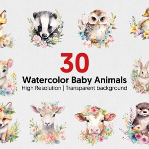 Acquerello Spring Cute Animals PNG / Animali con fiori / Senza sfondo / Sovrapposizione