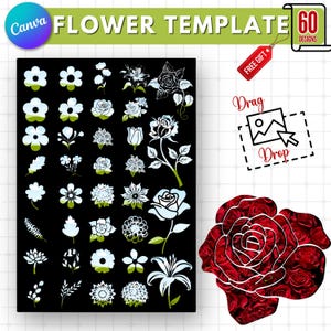 60 Flower Canva Frames: Floral Clipart Template (Digital Download)