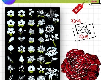 60 Flower Canva Frames: Floral Clipart Template (Digital Download)