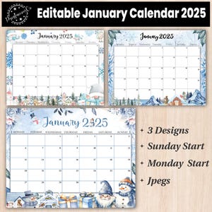 Editable January 2025 Calendar: Printable Monthly Planner (Digital Download)