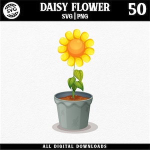 Imprimé fleurs 50